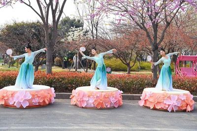 又是一年賞櫻時！第十屆中國（鶴壁）櫻花季啟幕 劇本活動