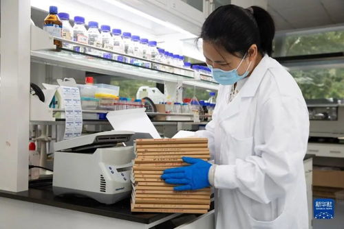 人造淀粉 生物科技顛覆農(nóng)業(yè)，開啟糧食生產(chǎn)新紀元